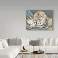 thumbnail image 3 of Trademark Fine Art 'the Lionesse' Canvas Art by Amy Frank, 3 of 3