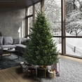 thumbnail image 2 of Vickerman 14' x 56" Eagle Fraser Slim Artificial Christmas Tree, Unlit, 2 of 11