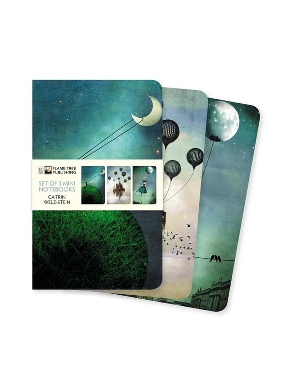 Mini Notebook Collections: Catrin Welz-Stein Set of 3 Mini Notebooks (Notebook / blank book)