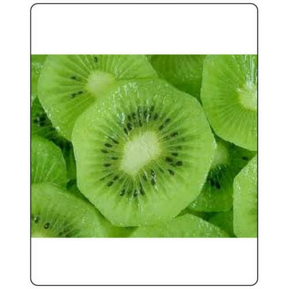 Kiwi Fruit (Actinidia Chinensis) Vine Great Heirloom ~ Bulk 2,000 Seeds