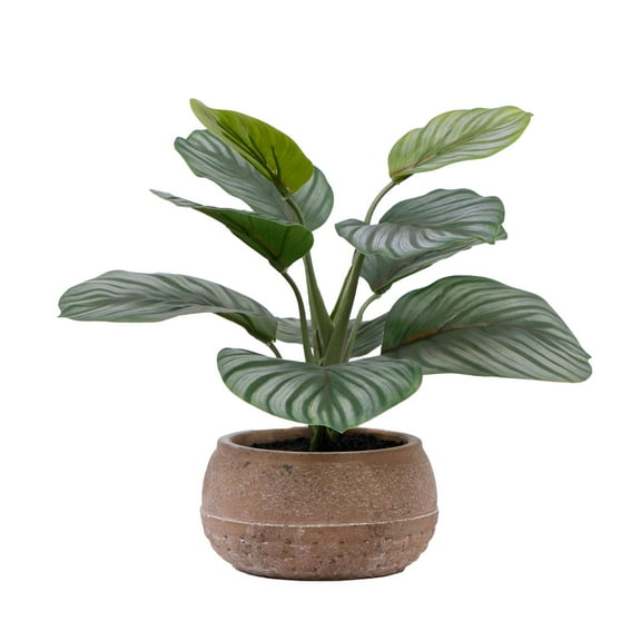 Better Homes & Gardens 9.5"H Artificial Indoor Calathea in Stone Planter