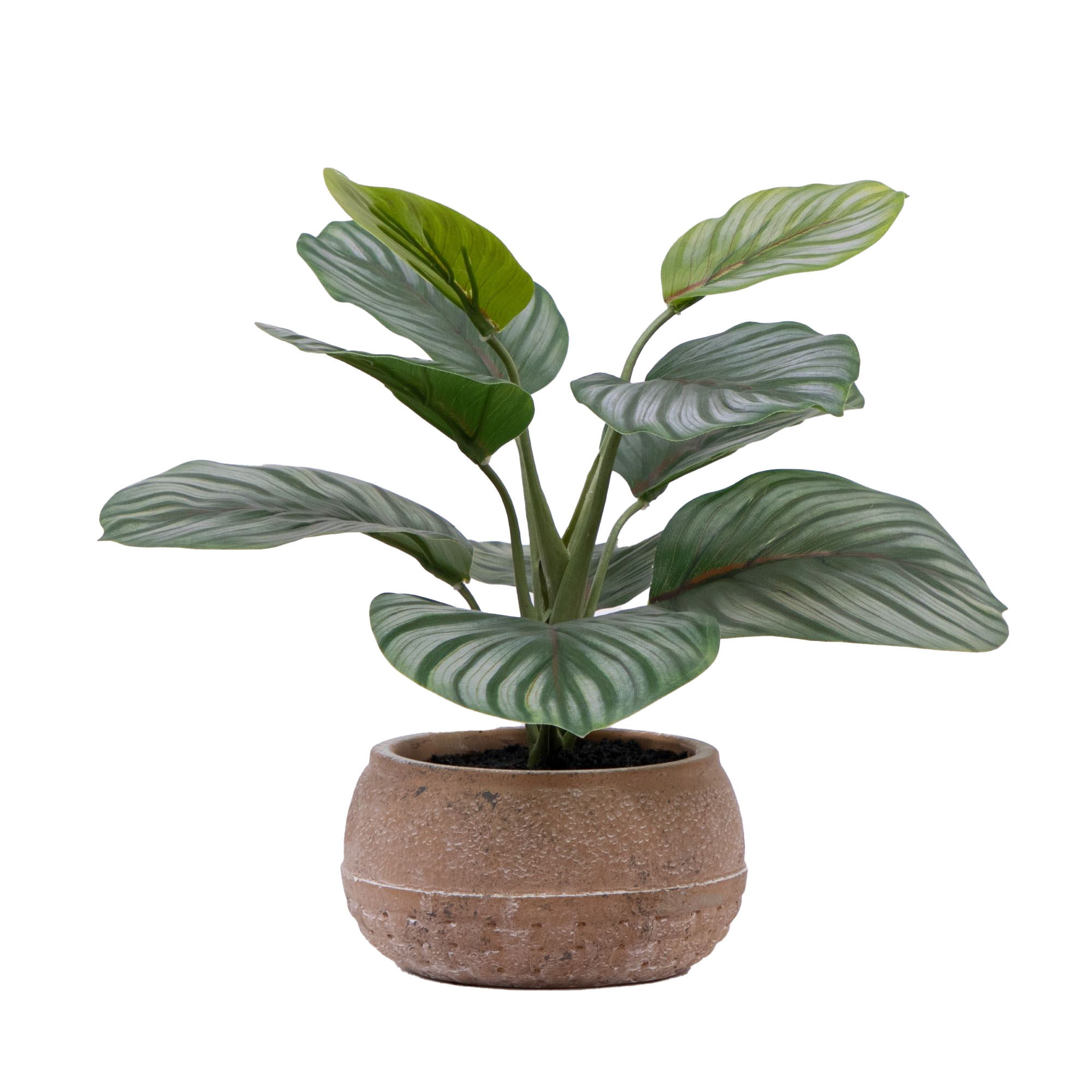 Better Homes & Gardens 12"H Artificial Indoor Calathea in Stone Planter