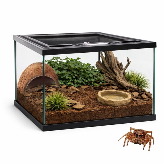 Reptile Glass Terrarium Kit 12"x8"x8" Full View Reptile Enclosure Tank for Spiders,Tarantulas,Hermit Crabs,Geckos,Frog,Turtle,Fish and Isopod with Tank Accesssories and Top Openning Door