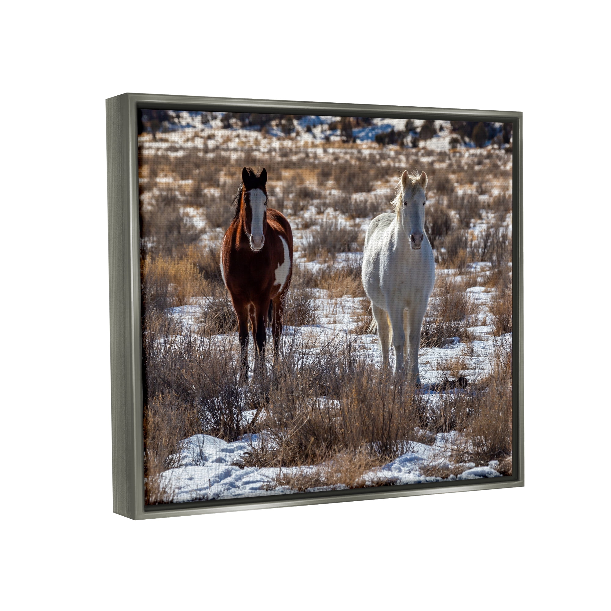 Stupell Industries Pair Horses Walking Through Snow Dusted Grassland Photograph Luster Gray Floating Framed Canvas Print Wall Art, Design by Jeff Poe Photography