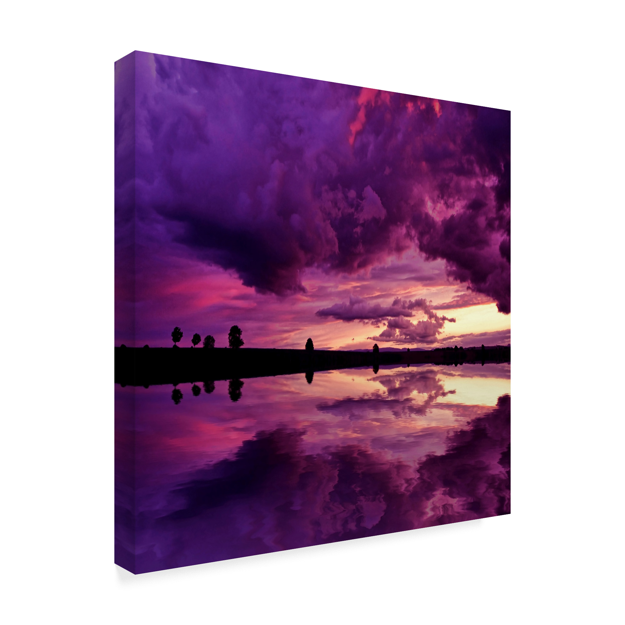 Trademark Fine Art 'Secret World' Canvas Art by Philippe Sainte-Laudy