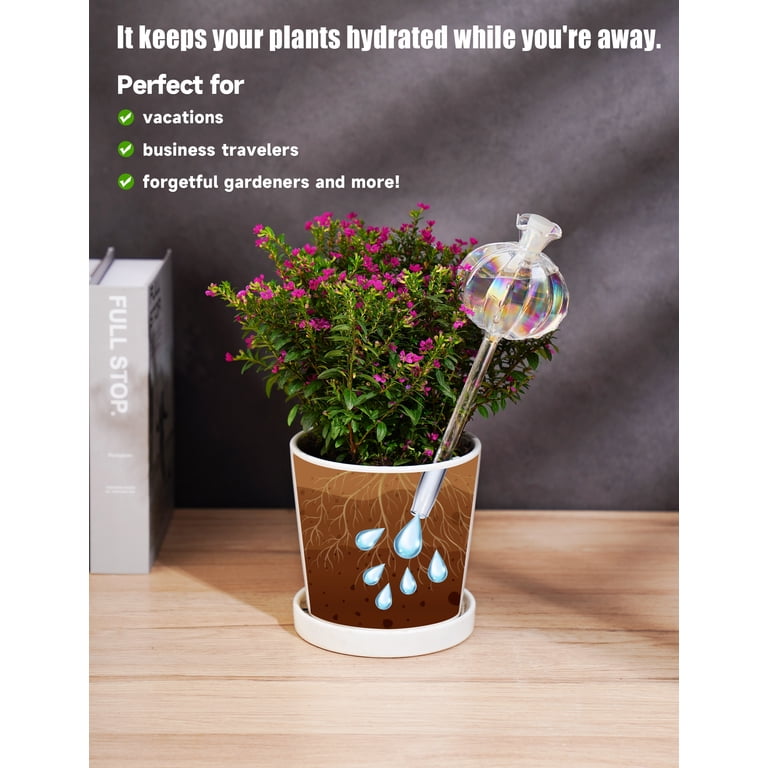 NiHome Glass Cactus Self-Watering Globes, 2-Pack photo 4