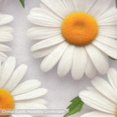 thumbnail image 3 of Daisy Luxurious Polyester Floor Carpet for Home Decor, Soft and Durable Rug for Living Room and Bedroom, Area Rug with Right-Angle Design, Modern Indoor Mat for Stylish Interiors, 3 of 6