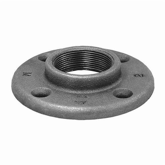 Flange Floor Flange, 1-1/4" Pipe, Flanged x FNPT, Malleable Iron, Class 150