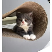PetFusion Ultimate Cat Scratcher Pad Lounge & Bed For Cats, Reversible Infinity, Durable & Long Lasting, Gray