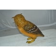 thumbnail image 6 of Owl Standing Bronze Statue - Size: 13&quot;L x 7&quot;W x 11&quot;H., 6 of 11