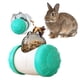 thumbnail image 1 of Pelota de golosinas interactiva para conejos, rueda y empuja, úsala con zanahoria cortada en cubitos, hierbas secas o frutas secas, pelota de juguete para bocadillos para conejos, 1 of 5