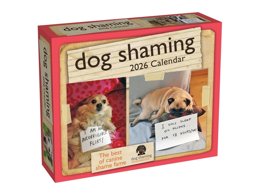 Kipper the Dog Collection 10 Books Set Inc Toy box, Birthday