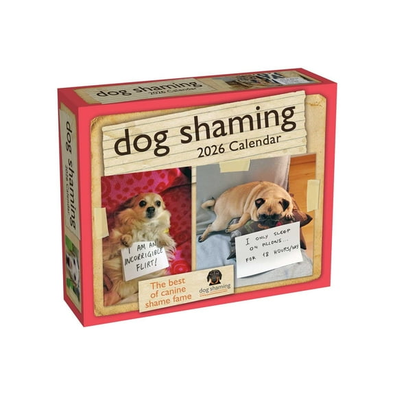 Dog Shaming 2026 Day-To-Day Calendar, (Paperback)