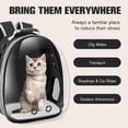 thumbnail image 4 of Mochila portabebés Dorphy Space Capsule para gato y perro, color negro, 4 of 7