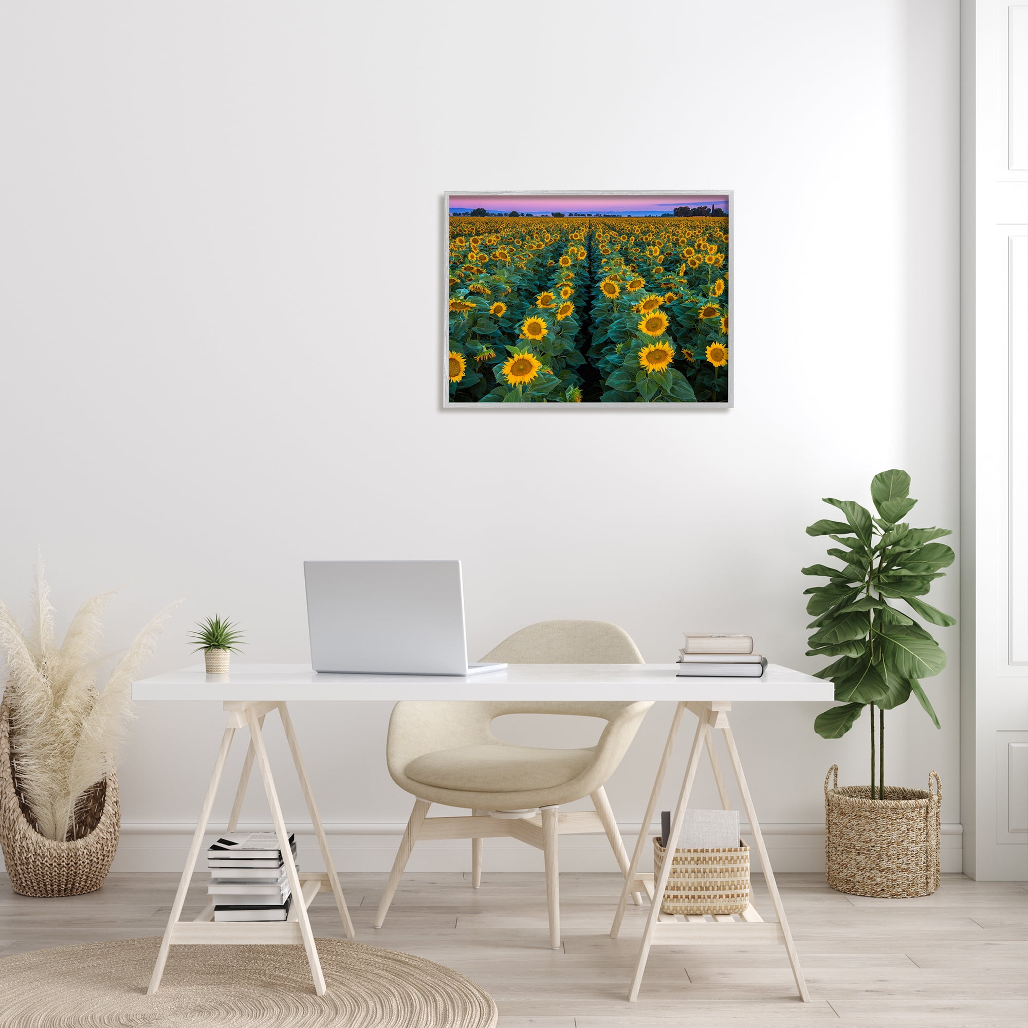 Stupell Industries Sunflower Field Rows at Sunset Farm Photography Botanical & Floral Painting Gray Framed Art Print Wall Art, 24 x 30
