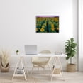 thumbnail image 2 of Stupell Industries Sunflower Field Rows at Sunset Farm Photography Botanical & Floral Painting Gray Framed Art Print Wall Art, 24 x 30, 2 of 7