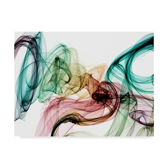 Trademark Fine Art 'Invisible World IV' Canvas Art by Irena Orlov