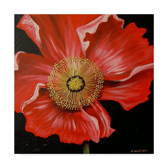 Trademark Fine Art 'Red Poppy Over Black' Canvas Art by Cherie Roe Dirksen