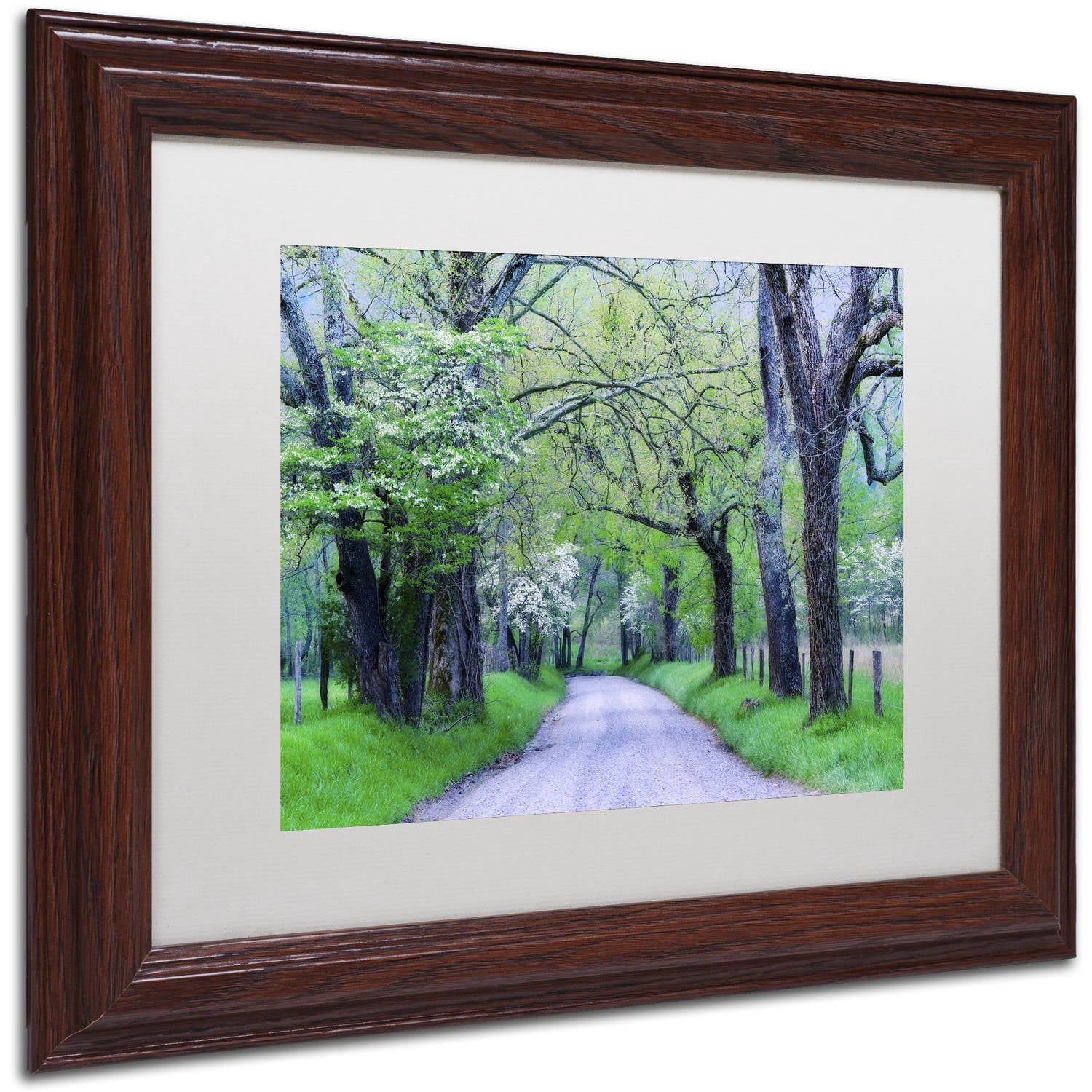 Trademark Fine Art "Cades Cove Lane" Canvas Art by Michael Blanchette Photography White Matte, Wood Frame
