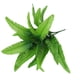 thumbnail image 1 of 1 paquete de 22 pulgadas de helecho artificial realista, impermeable, verde, ideal para decoración, 1 of 8