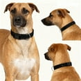 thumbnail image 4 of Collier pour Chien en Tissu Double Couche avec Design Réfléchissant Respirant pour Senior Confortable et Sécurisé, 4 of 6