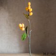 thumbnail image 4 of Artificial Fruit Pipa Fruit Tall Stem 36" Tall, 4 of 4