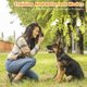 thumbnail image 5 of Dispositivos disuasorios de ladridos de perros, dispositivo antiladridos ultrasónico 3 en 1, 5 of 5
