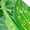 FZY29, variant on Aquariums Reptiles Climbing Grass Terrarium Plant Fish Tanks Decoration Terrarium for Amphibian Lizards Snake