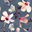 Blooming Hibiscus
