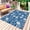 Snow SteelBlue, variant on Green White Floral Outdoor Rug 4x6 Ft - Reversible Patio Rug Outdoor Camping Rugs, Farmhouse Retro Botanical Leaves Washable Indoor Outdoor Area Rugs, Non-Slip Outdoor Carpet Runner for Deck/Porch