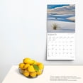 thumbnail image 5 of National Parks 2025 12 X 24 Inch Monthly Square Wall Calenda, 5 of 9