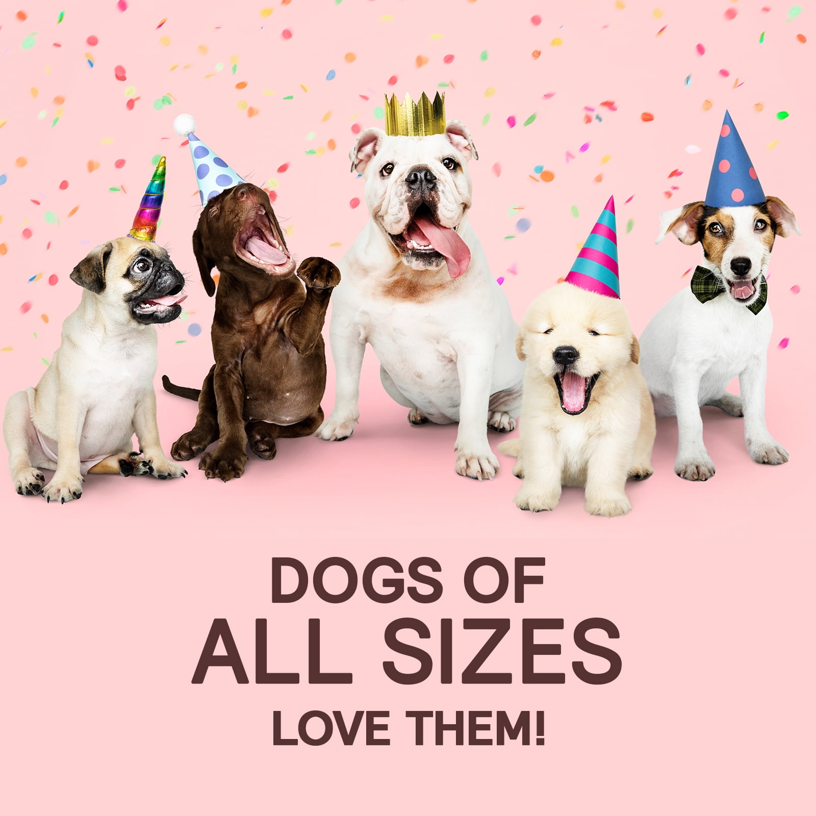 Pupums Healthy Dog Treats | All Natural Dog Biscuits with 100% Human Grade and Non-GMO Ingredients | Made in The USA | Handcrafted | Made For All Dog Sizes and Ages | Various Flavors