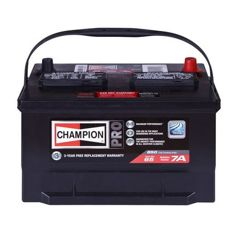 Cham-65n