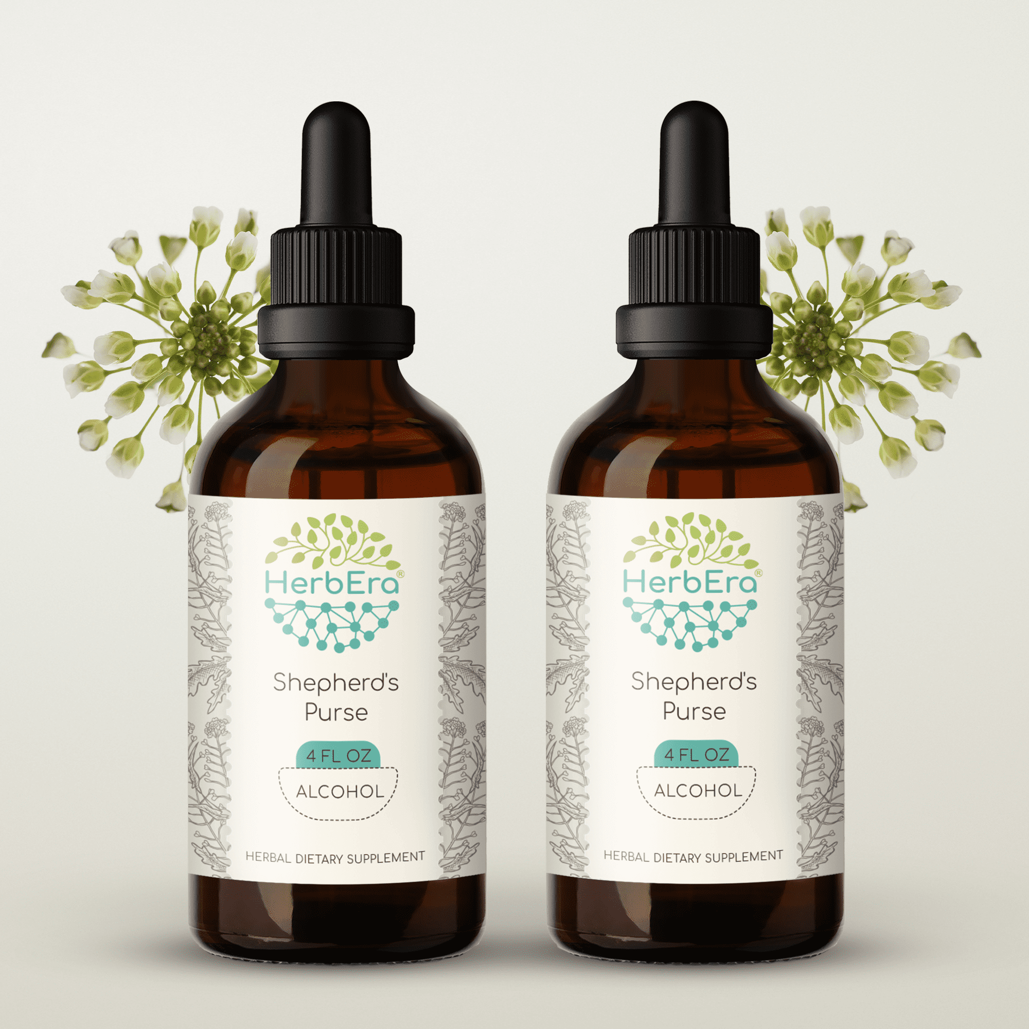 Shepherd's Purse Alcohol Herbal Extract Tincture, SuperConcentrated