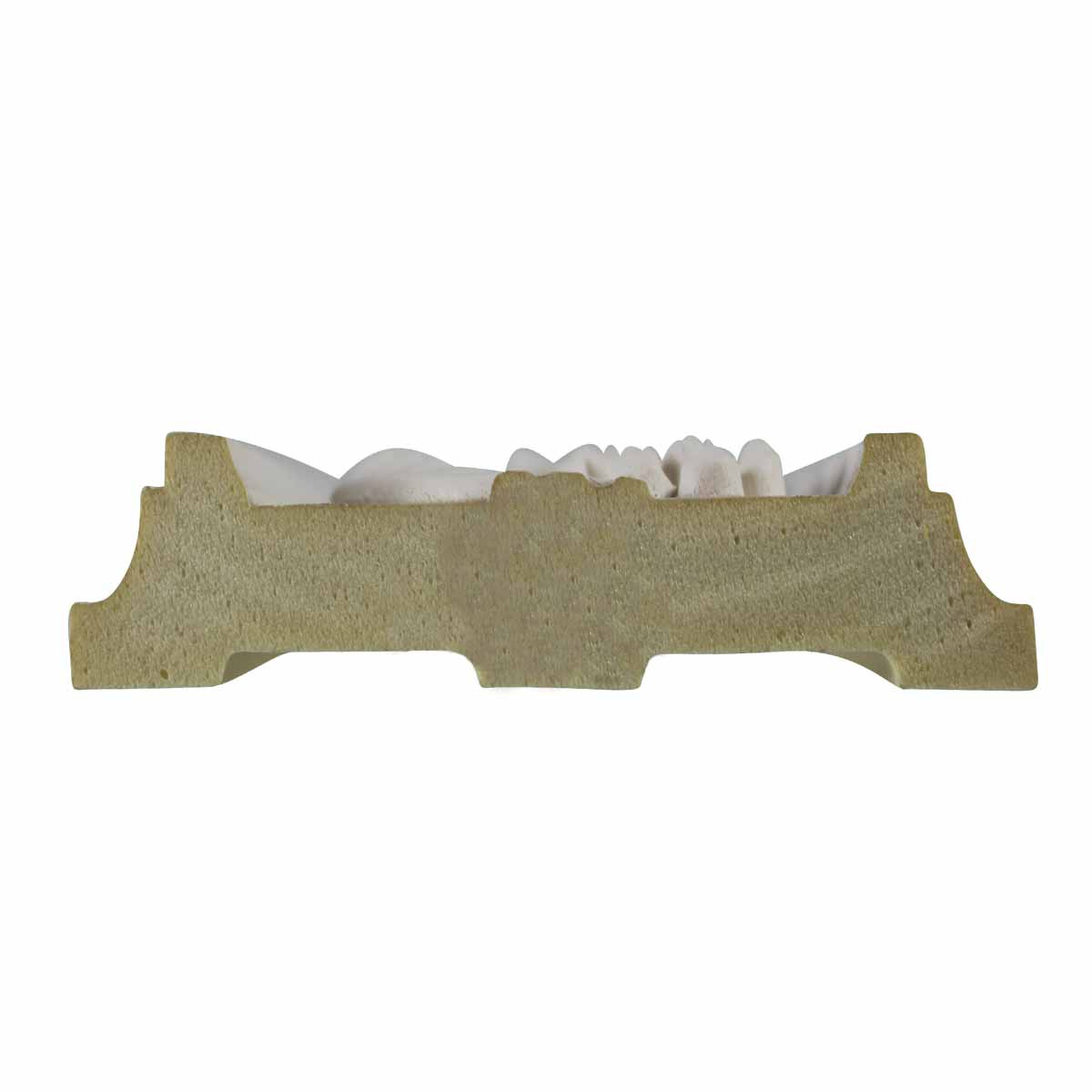 Cornice White Urethane Sample of 11630 24 Long | Renovator's Supply