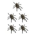 thumbnail image 1 of Kenally 1 uds/2 uds 3D pegatina de araña divertida cabeza de coche cola personalidad pegatinas de araña decoración DIY decoración Type1 NO1 Kenally CBP062734, 1 of 4
