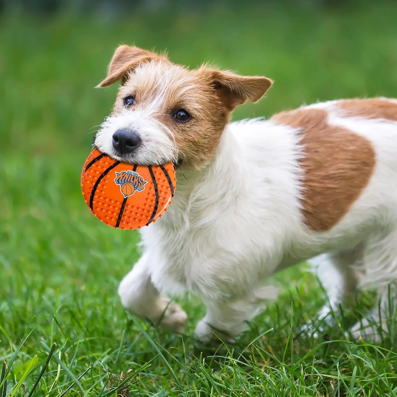 Pets First NBA Hard-Nylon Toy Flavored Dog Chew Toys for Aggressive Chewers