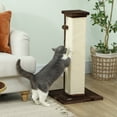 thumbnail image 2 of PawHut 32" Cat Scratching Post for Indoor Cats w/ Sisal Teasing Ball Brown, 2 of 10