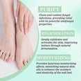 thumbnail image 5 of 20ML Nutraboost Nail Fungus Treatment Gel, Natural Nail Repair Strengthening Gel 1/3/5x, 5 of 5