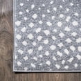 thumbnail image 5 of JONATHAN Y SAFARI 2 x 10 Runner Rug, Antelope Animal - Gray/Cream, SAF100C-210, 5 of 9