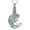 A-moon moonstone tree of life, variant on Tree of Life Urn Necklaces for Ashes 925 Sterling Silver Moonstone Tree of Life Cremation Jewelry for Ashes Memory Jewelry for Women Men