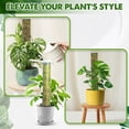 thumbnail image 5 of DUSPRO D-Shaped Plastic Moss Poles for Climbing Plants Monstera Stackable Moss Pole for Plants Moss Plant Pole Handmade Moss Stick for Indoor Plants Grow Upward 2 Pack 16.5 inches, 5 of 5