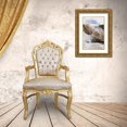 thumbnail image 3 of Bush, Marie 13x18 Gold Ornate Wood Framed with Double Matting Museum Art Print Titled - Wyoming, Yellowstone Mammoth Hot Springs scenic, 3 of 4