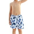 thumbnail image 3 of Fiomva Family Matching Swimwear Father Son Trunks/Boys Tops and Shorts Suits, 3 of 6