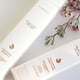 thumbnail image 5 of Shampoo L'ANZA Healing Volume 300 Ml Importado de USA, 5 of 5