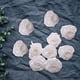 thumbnail image 5 of 10 piezas de pasadores para el pelo para decoración de bodas, accesorios para el cabello, cabezas de flores artificiales Blanco, 5 of 8