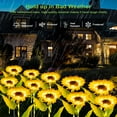 thumbnail image 6 of 4 Packs Solar Sunflower Lights Garden Decor, Artificial Sunflowers Solar Garden Decorative Lights with Glowing Stems,Waterproof Solar Outdoor Lights for Lawn, Patio, Yard, Pathway, 6 of 8