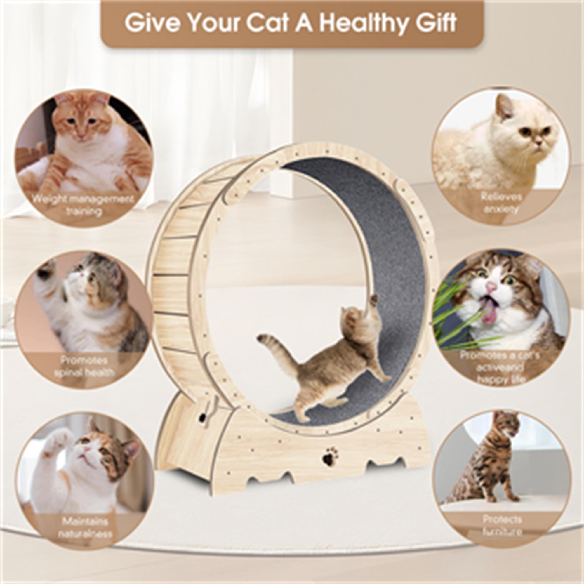 Kadyn 36" Cat Exercise Wheel for Indoor Cats, Cat Running Wheel with Carpeted Runway, Cat Sport Treadmill Wheel for Kitty’s Longer Life, Beige