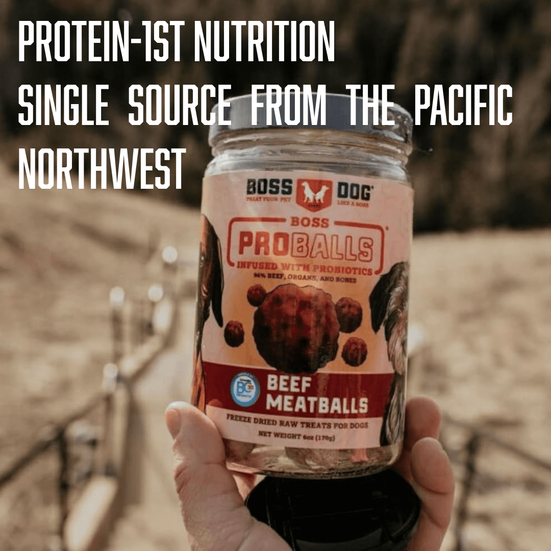 Boss Dog ProBalls, Probiotic Freeze Dried Treats for Dogs & Cats, Beef, 6 oz Jar