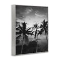 thumbnail image 3 of Stupell Industries Palm Tree Coast Photograph Gray Framed Giclee Art design by Carol Robinson, 14 x 11, 3 of 8
